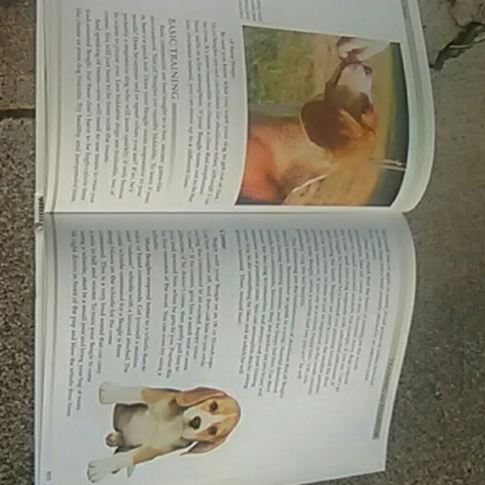 Book - Picture 3 of 3